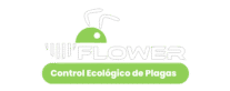 flowerecofumigadora.com